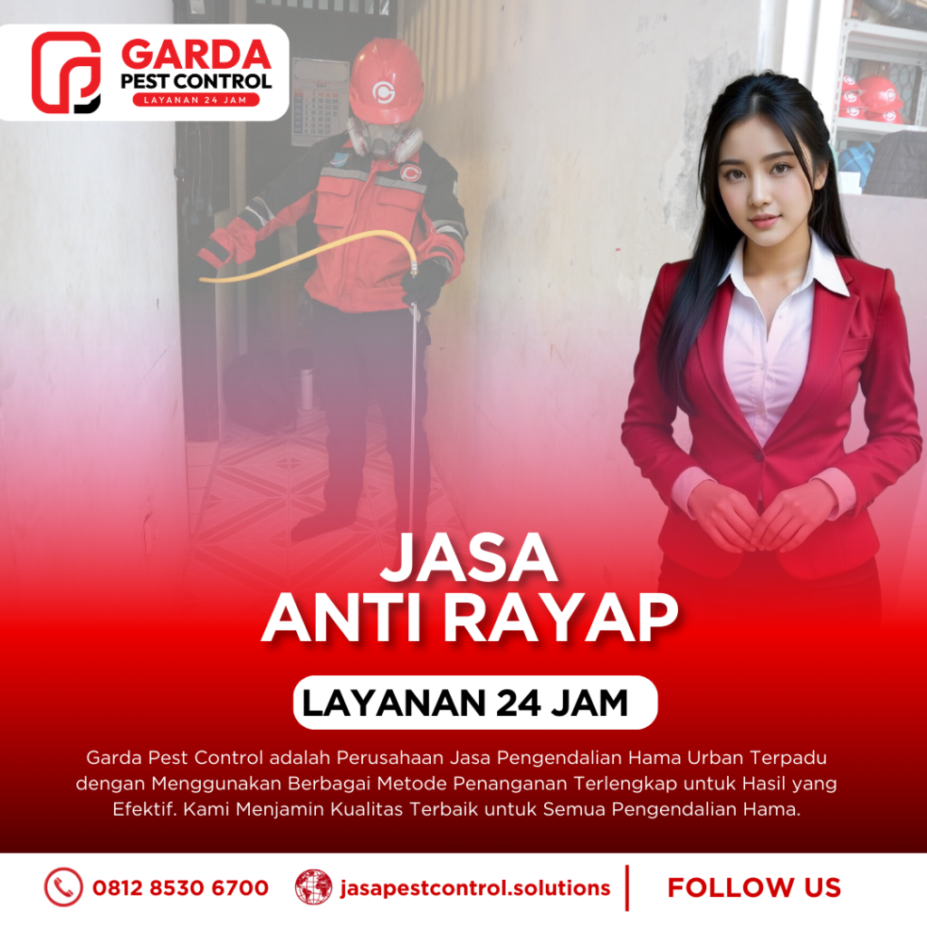 Jasa Injeksi & Suntik Rayap Berkualitas di Jogja