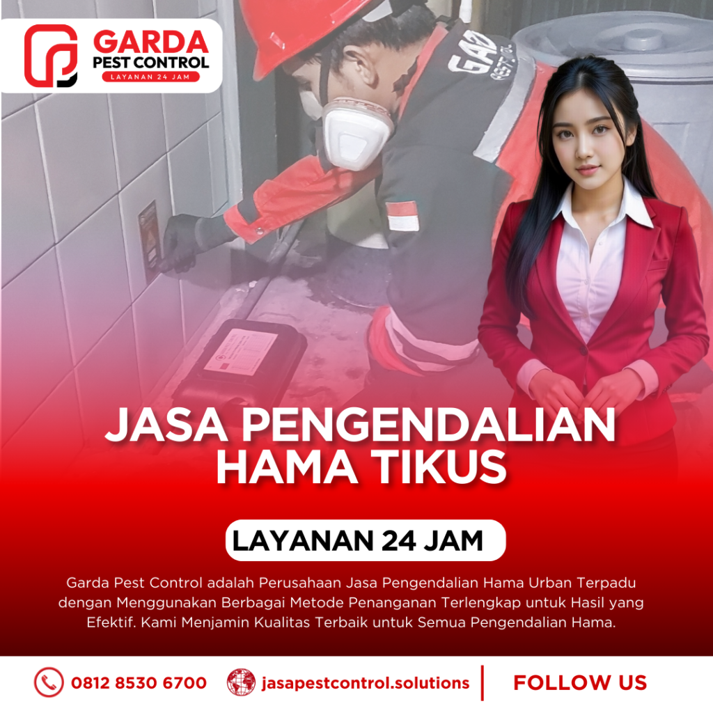 Jasa Pembasmi Tikus di Jogja Harga Murah dan Berkualitas