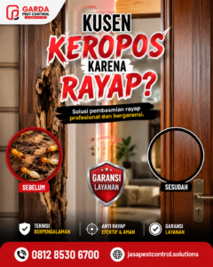 Jasa Anti Rayap Jakarta Barat