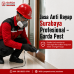 Jasa Suntik Rayap untuk Rumah Solo