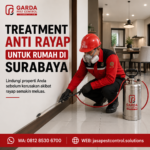 Jasa Anti Rayap Surabaya untuk Rumah, Kantor & Properti