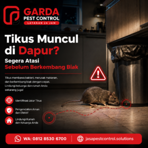 Bahaya Leptospirosis dan Dampak Kotoran Tikus di Dalam Rumah